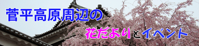 �����������ӂ̉Ԃ����ƃC�x���g�̂��ē�