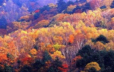 松川渓谷付近の山々の紅葉