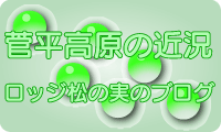���������̋ߋ������b�W�u���̎��v�̃u���O