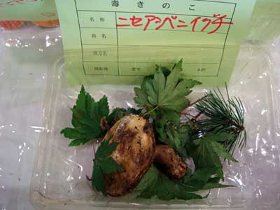 jZxjCO`