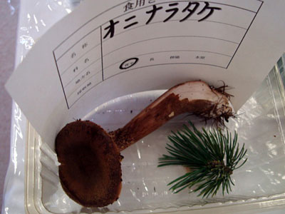 Iji^P