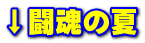 ↓闘魂の夏