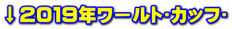 ↓2019年ワールト?カッフ?