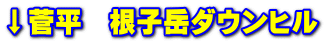 ↓菅平 根子岳ダウンヒル