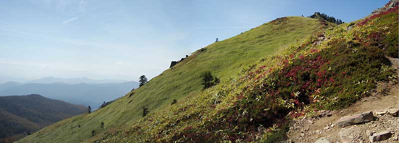 根子岳山頂直下