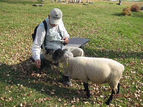 羊と戯れました。同行者の榎坂さんの撮影