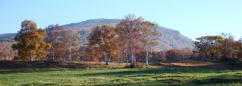 紅葉真っ盛りの根子岳を牧場より眺める