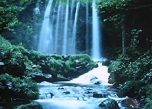 唐沢の滝